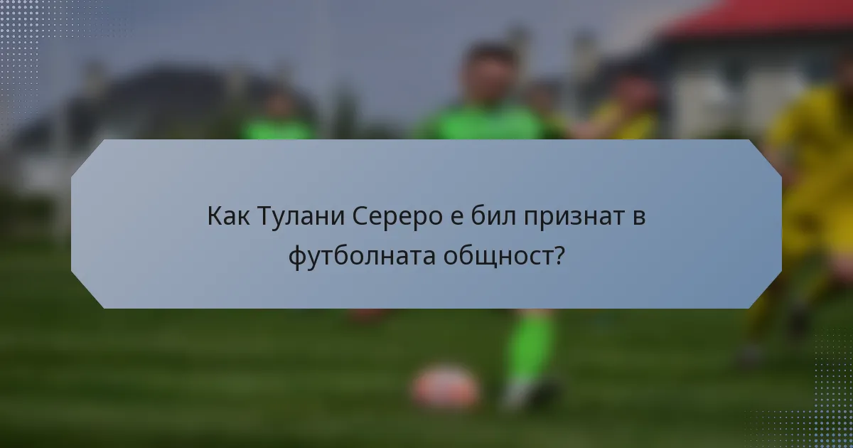 Как Тулани Сереро е бил признат в футболната общност?