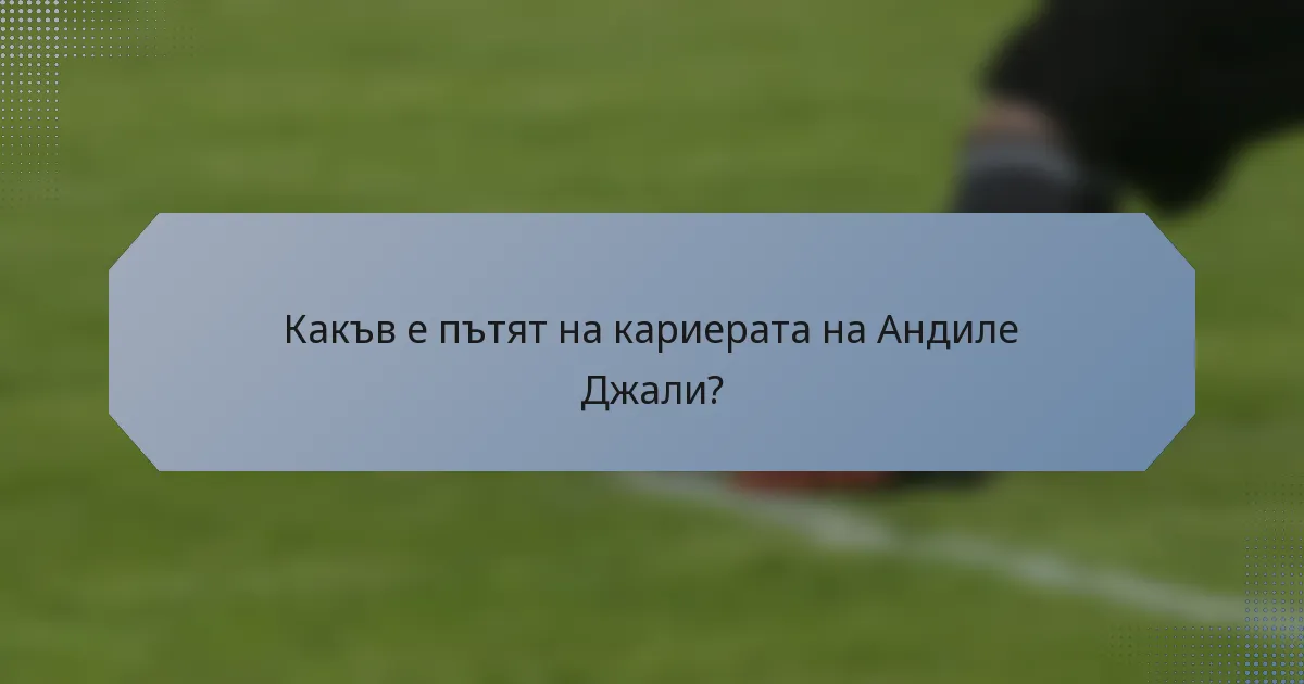 Какъв е пътят на кариерата на Андиле Джали?