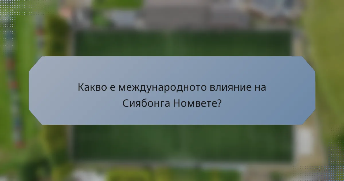 Какво е международното влияние на Сиябонга Номвете?